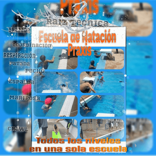 Natacion de adultos